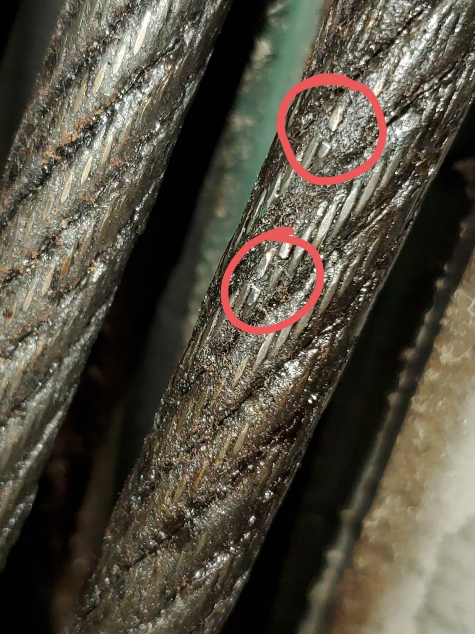 Wear Pattern Wire Rope Wire Rope Replacement for Elevators - ElevatorInfo